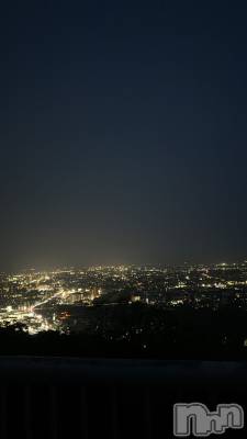 ܱХ顦֥ ץ ( ץ ޥĥ) 62̥֥🌃
