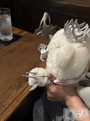 ܱХ顦֥ ץ ( ץ ޥĥ) 1020̥֥🐻