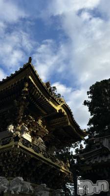 ܱХ顦֥ ץ ( ץ ޥĥ) 118̥֥🙈