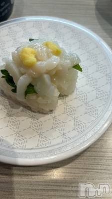 ���ܱ�������Х��顦����֥���� �ץ���� ����(����� �ץ���� �ޥĥ��) ������12��23���̥�֥�����🦑��