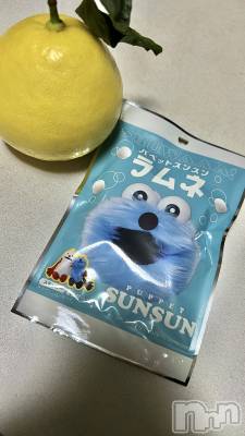 ���ܱ�������Х��顦����֥���� �ץ���� ����(����� �ץ���� �ޥĥ��) ������1��17���̥�֥�����🍊��