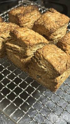 ���ܱ�������Х��顦����֥���� �ץ���� ����(����� �ץ���� �ޥĥ��) ������2��2���̥�֥�����🍳��