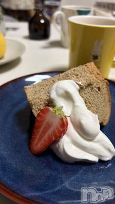 ���ܱ�������Х��顦����֥���� �ץ���� ����(����� �ץ���� �ޥĥ��) ������2��18���̥�֥�����🍰��