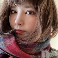 (ҥߥ) Ĺ150cmܱХ顦  ץ ( ץ ޥĥ)ҡ