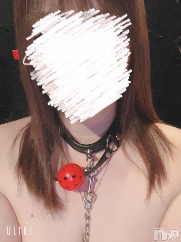 新潟デリヘルSecret Love(シークレットラブ) れみ☆激狭AF可能☆美巨乳姉妻(35)の12月1日写メブログ「出勤しましたっ😊💖」