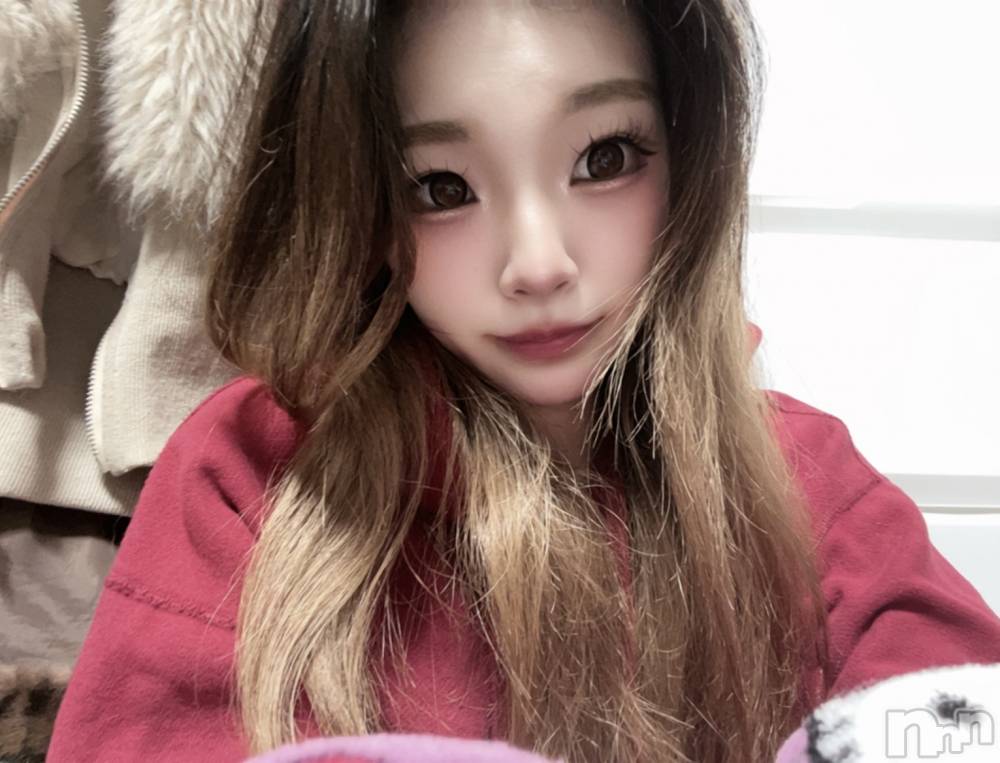 �����������Х��顦�����Diletto(�ǥ���å�) ����2��8���̥�֥����֥ܥ��ܥ����䡼���