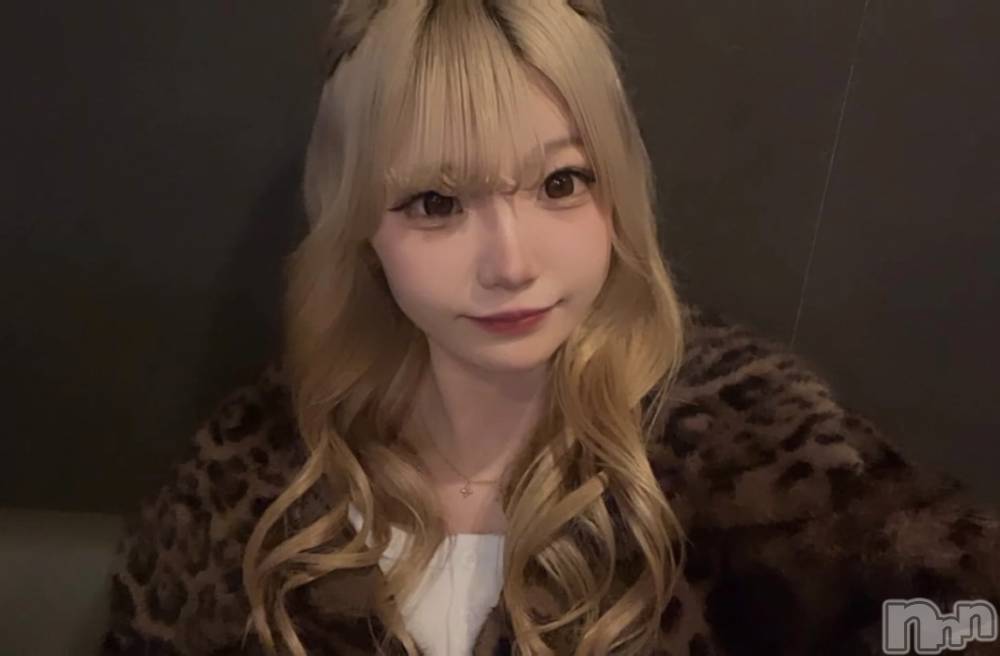 �����������Х��顦�����Diletto(�ǥ���å�) ����4��8���̥�֥�����👩🏼✨��