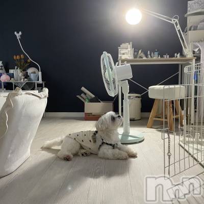 Х顦Diletto(ǥå) 99̥֥🐶♡