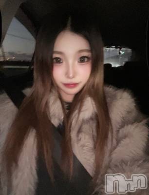 �����������Х��顦�����Diletto(�ǥ���å�) ����1��6���̥�֥�����2026👄��