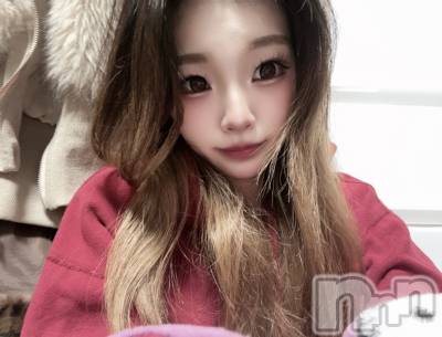 �����������Х��顦�����Diletto(�ǥ���å�) ����2��8���̥�֥����֥ܥ��ܥ����䡼���