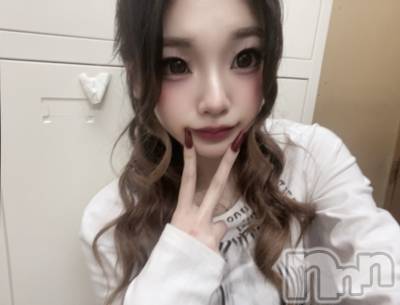 �����������Х��顦�����Diletto(�ǥ���å�) ����3��5���̥�֥����֤ԡ�����