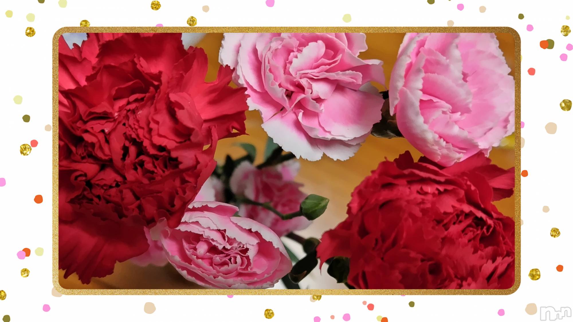 ȯѥ˥󥯥֥ѥ˥󥯥 饤 2024ǯ511̥֥֤Фϡ