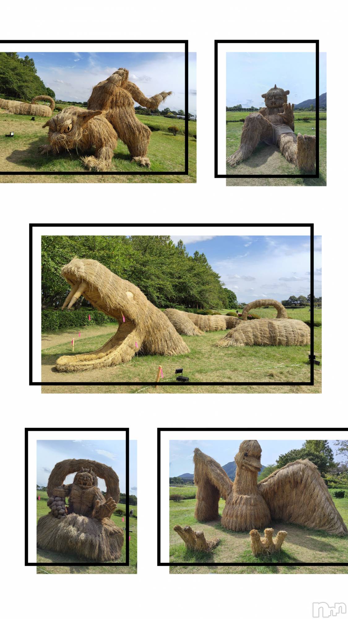 ȯѥ˥󥯥֥ѥ˥󥯥 饤 2024ǯ929̥֥֤饢 