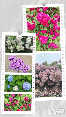 ȯѥ˥󥯥֥ѥ˥󥯥 饤 (21)612̥֥֤ˤ✨