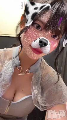 ɤˤ롩