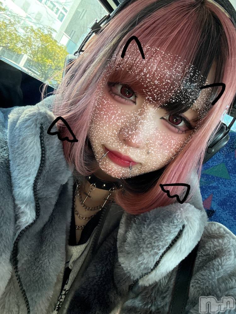 ʥå륺СBar  Angel(С󥸥) 󤿤119ֳ̥֥