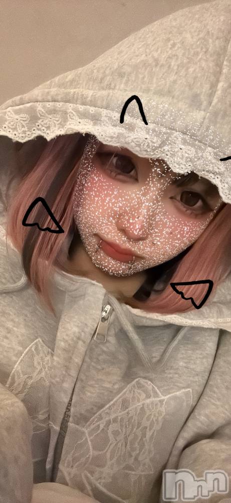 ʥå륺СBar  Angel(С󥸥) 󤿤130̥֥֤