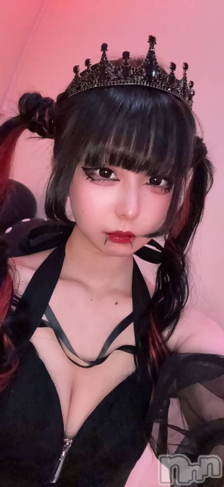 ʥå륺СBar  Angel(С󥸥) 󤿤41̥֥紶‪🥲‎