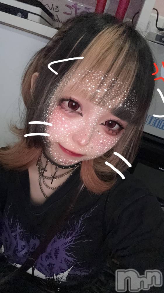 ʥå륺СBar  Angel(С󥸥) 󤿤715̥֥֥֡