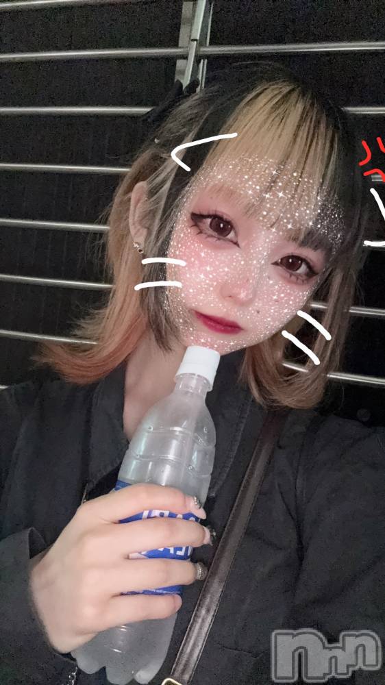 ʥå륺СBar  Angel(С󥸥) 󤿤719̥֥ɻ🈲