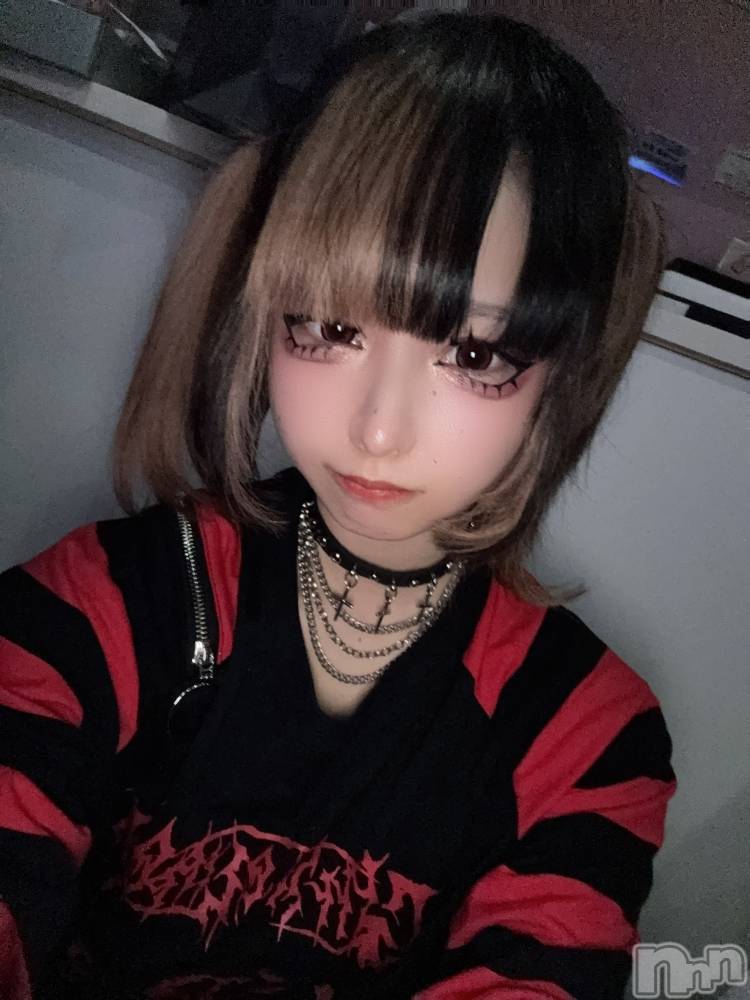 ʥå륺СBar  Angel(С󥸥) 󤿤1031̥֥ȱӤ