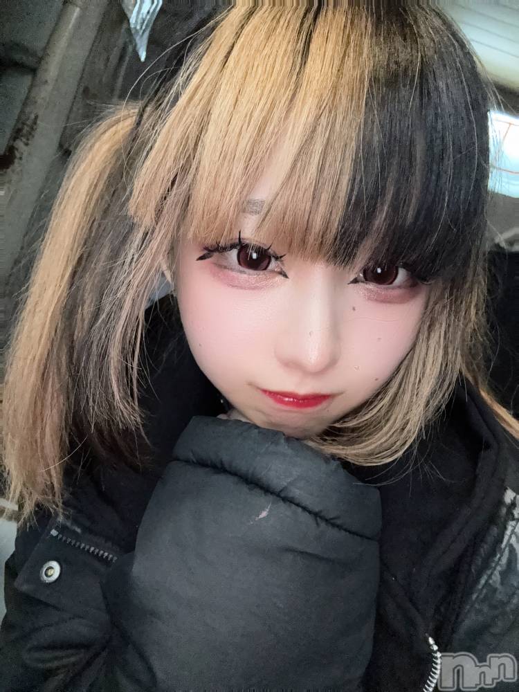 ʥå륺СBar  Angel(С󥸥) 󤿤117ֹ̥֥ʵ