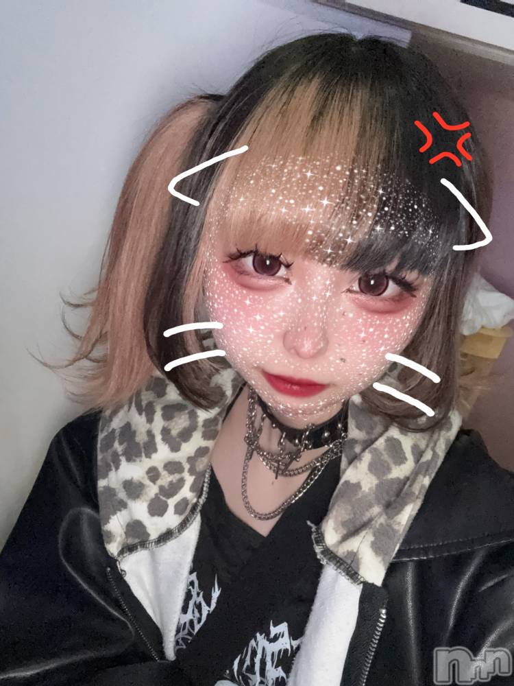 ʥå륺СBar  Angel(С󥸥) 󤿤1119̥֥֤勞勞