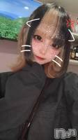 ʥå륺СBar  Angel(С󥸥) 󤿤(22)81̥֥֎ӎӎ