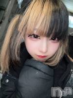 ʥå륺СBar  Angel(С󥸥) 󤿤(22)117ֹ̥֥ʵ