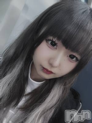 ʥå륺СBar  Angel(С󥸥) 󤿤(22)424̥֥֥ࡪ