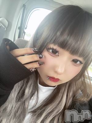 ʥå륺СBar  Angel(С󥸥) 󤿤(22)64̥֥֥ơ