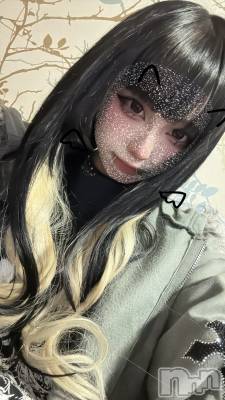 ʥå륺СBar  Angel(С󥸥) 󤿤(22)213̥֥֤ˤ塼󤿤