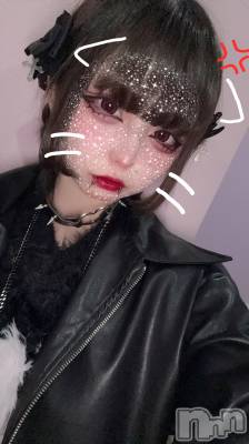 ʥå륺СBar  Angel(С󥸥) 󤿤(22)510̥֥֥֡ୢ