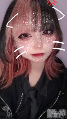 ʥå륺СBar  Angel(С󥸥) 󤿤(22)531̥֥֥ܥƥ