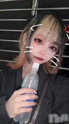 ʥå륺СBar  Angel(С󥸥) 󤿤(22)719̥֥ɻ🈲