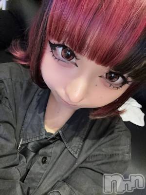 ʥå륺СBar  Angel(С󥸥) 󤿤(22)820̥֥֤ˤ塼❣️
