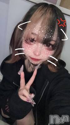 ʥå륺СBar  Angel(С󥸥) 󤿤(22)101̥֥֤त