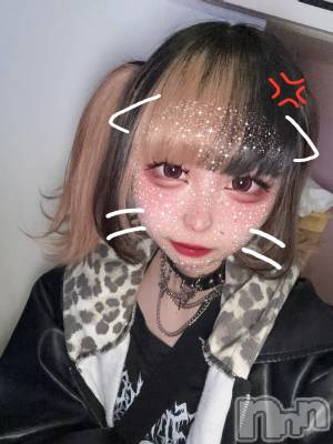 ʥå륺СBar  Angel(С󥸥) 󤿤(22)1119̥֥֤勞勞