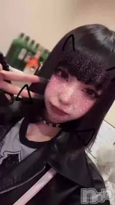 꿩