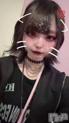 ɤפ( ≖ᴗ≖​)