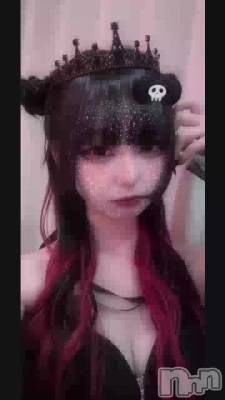 鸫