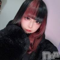 らんたん さんのプロフィール画像