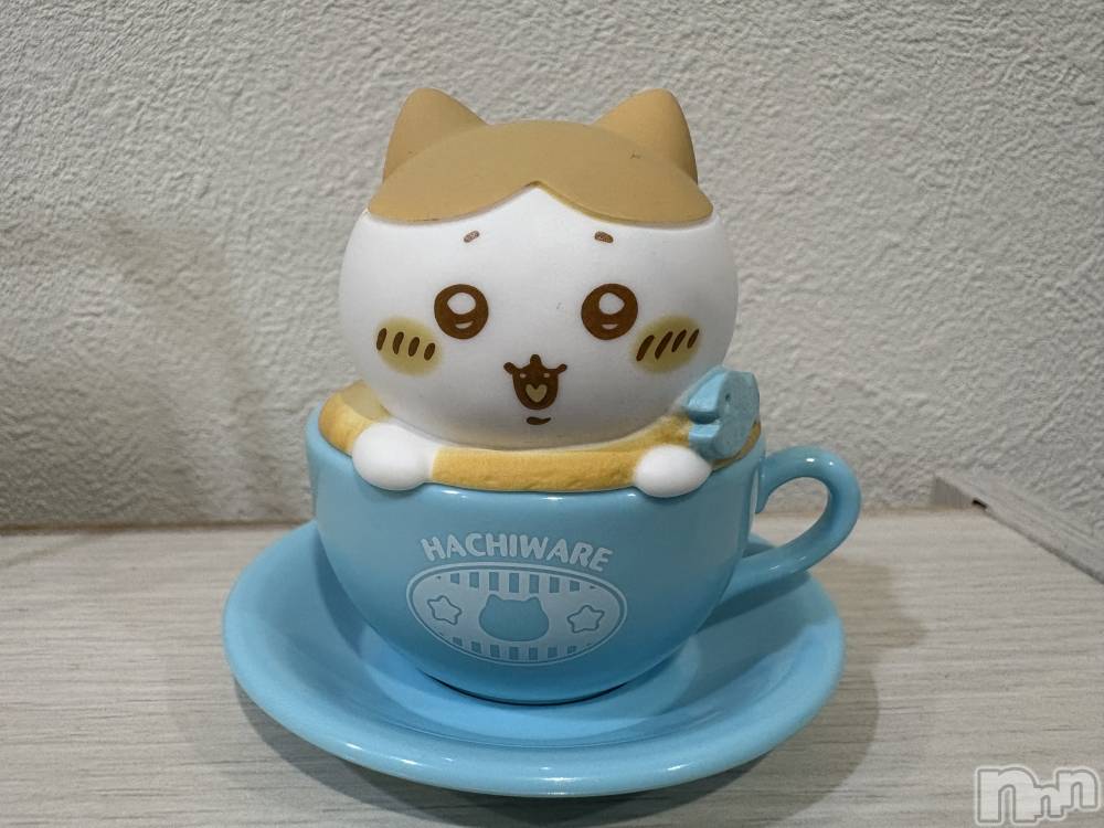 ʥå륺СBar  Angel(С󥸥) ꤹ1111̥֥֤ɤäɡ( ॑꒳ ॑c)