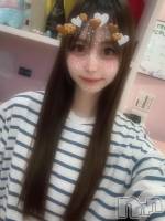 ʥå륺СBar  Angel(С󥸥) ꤹ(23)730ֲ̥֥⎛˶'ᵕ'˶ ⎞