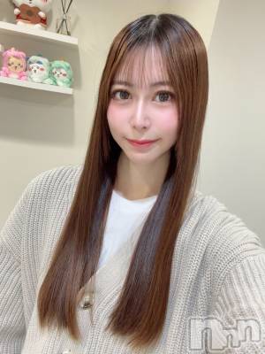 ʥå륺СBar  Angel(С󥸥) ꤹ(23)29̥֥(◍>ᴗ<◍)