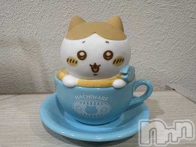 ʥå륺СBar  Angel(С󥸥) ꤹ(23)1111̥֥֤ɤäɡ( ॑꒳ ॑c)