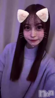 ٤롩(◍˃̶ᗜ˂̶◍)