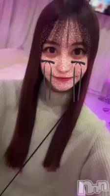 ܤοʪ(˶ᐢᐢ˶)