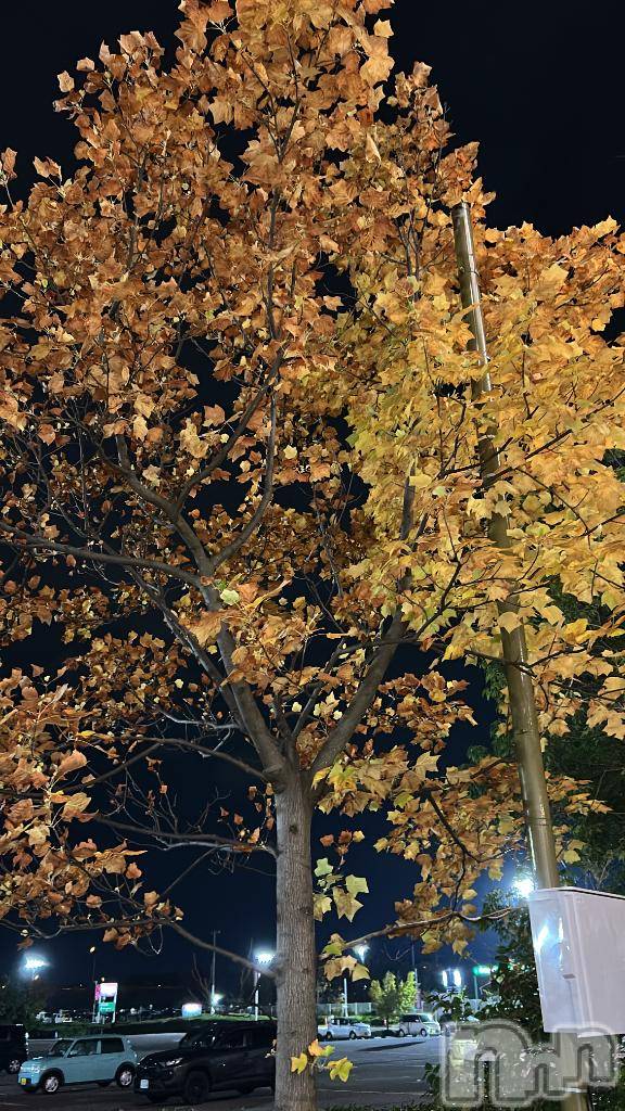 新潟デリヘルMelt(メルト)はづき(20)の2025年11月16日写メブログ「おはよ❣️」