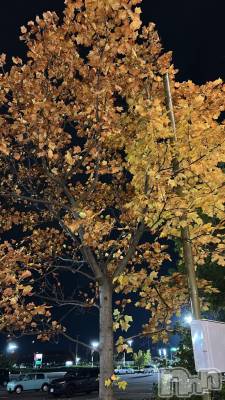 新潟デリヘル Melt(メルト) はづき(20)の11月16日写メブログ「おはよ❣️」